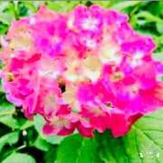 ヒメ日記 2025/06/10 17:43 投稿 かおり 人妻花かんざし