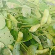 ヒメ日記 2025/06/27 08:41 投稿 かおり 人妻花かんざし