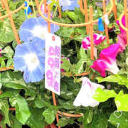 ヒメ日記 2025/07/06 19:52 投稿 かおり 人妻花かんざし