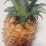 ヒメ日記 2025/08/24 18:44 投稿 かおり 人妻花かんざし