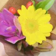 ヒメ日記 2025/08/31 19:47 投稿 かおり 人妻花かんざし