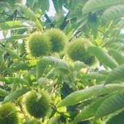 ヒメ日記 2025/09/24 19:02 投稿 かおり 人妻花かんざし