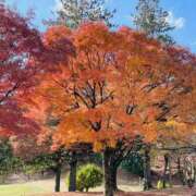 ヒメ日記 2025/10/24 08:03 投稿 かおり 人妻花かんざし