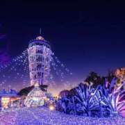 ヒメ日記 2025/11/10 19:18 投稿 かおり 人妻花かんざし