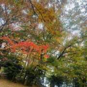 ヒメ日記 2025/11/18 09:03 投稿 かおり 人妻花かんざし