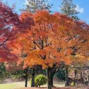 ヒメ日記 2025/11/26 08:58 投稿 かおり 人妻花かんざし