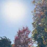 かおり 冬晴れ☀️ 人妻花かんざし