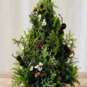 ヒメ日記 2025/12/12 08:04 投稿 かおり 人妻花かんざし