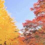 かおり 今週は☀️ 人妻花かんざし