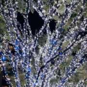 ヒメ日記 2025/12/20 16:50 投稿 かおり 人妻花かんざし