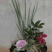 ヒメ日記 2025/12/30 10:08 投稿 かおり 人妻花かんざし