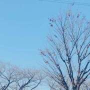 ヒメ日記 2026/01/06 11:45 投稿 かおり 人妻花かんざし