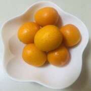 ヒメ日記 2026/02/25 07:59 投稿 かおり 人妻花かんざし