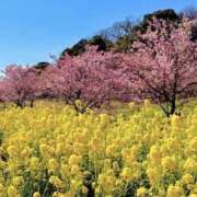 ヒメ日記 2026/03/09 09:22 投稿 かおり 人妻花かんざし