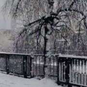 ヒメ日記 2026/03/10 18:41 投稿 かおり 人妻花かんざし