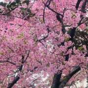 ヒメ日記 2026/03/13 09:03 投稿 かおり 人妻花かんざし