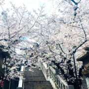 ヒメ日記 2026/03/27 20:28 投稿 かおり 人妻花かんざし