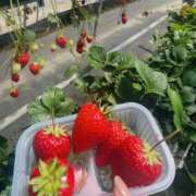 ヒメ日記 2026/04/14 20:30 投稿 かおり 人妻花かんざし