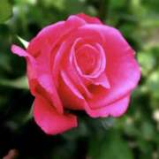 ヒメ日記 2026/04/19 16:03 投稿 かおり 人妻花かんざし