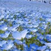 ヒメ日記 2026/04/20 07:56 投稿 かおり 人妻花かんざし