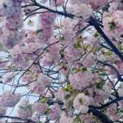 ヒメ日記 2026/04/22 20:15 投稿 かおり 人妻花かんざし