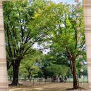 ヒメ日記 2025/09/30 21:25 投稿 みさき 人妻花かんざし