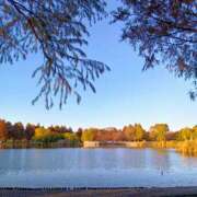 ヒメ日記 2025/11/29 08:44 投稿 みさき 人妻花かんざし