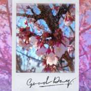 ヒメ日記 2026/02/23 09:19 投稿 みさき 人妻花かんざし