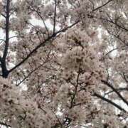 ヒメ日記 2025/03/28 15:36 投稿 みるきー 恋っていうから愛にきた　恋愛オナクラ