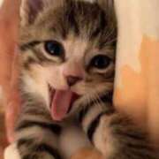 ヒメ日記 2025/11/18 15:08 投稿 みう 恋っていうから愛にきた　恋愛オナクラ