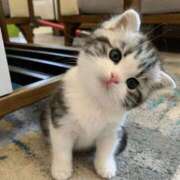 ヒメ日記 2026/01/22 16:50 投稿 みう 恋っていうから愛にきた　恋愛オナクラ