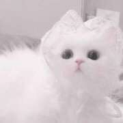 らいあ おひさしぶりです🐈‍⬛🎀ᩚ リフレdeオナクラ　4610ふぉるてしも