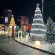 ヒメ日記 2026/01/06 15:19 投稿 りこ 恋っていうから愛にきた　恋愛オナクラ