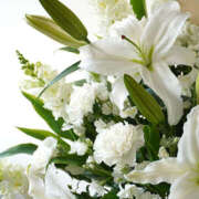 ヒメ日記 2026/03/11 16:18 投稿 乙音-おとね 熟女10000円デリヘル横浜