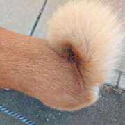 ヒメ日記 2025/10/07 11:27 投稿 岩本 鶯谷人妻城