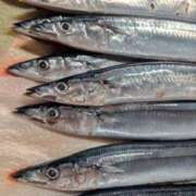 ヒメ日記 2025/10/22 08:19 投稿 岩本 鶯谷人妻城