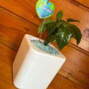 ヒメ日記 2025/06/28 11:58 投稿 くれあ GODZUMA（ゴッヅマ）