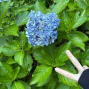 ヒメ日記 2025/08/05 22:22 投稿 くれあ GODZUMA（ゴッヅマ）