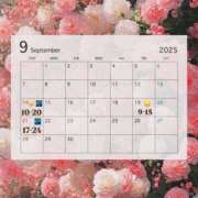 ヒメ日記 2025/09/12 19:24 投稿 ありす☆心の中でガッツポーズ☆ Honey