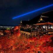 ヒメ日記 2025/11/23 23:34 投稿 ありす☆心の中でガッツポーズ☆ Honey