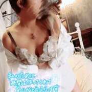 ヒメ日記 2025/10/11 17:44 投稿 かりん 西船人妻花壇