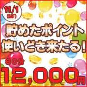 ヒメ日記 2025/11/01 15:22 投稿 かりん 西船人妻花壇
