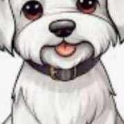 ヒメ日記 2025/02/03 17:44 投稿 みずき 大宮おかあさん