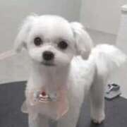 ヒメ日記 2025/03/20 18:31 投稿 みずき 大宮おかあさん