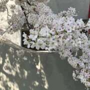 ヒメ日記 2025/03/28 08:31 投稿 みずき 大宮おかあさん