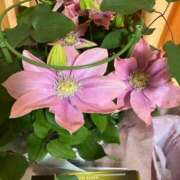 ヒメ日記 2025/03/31 07:41 投稿 みずき 大宮おかあさん