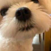 ヒメ日記 2025/10/14 16:46 投稿 みずき 大宮おかあさん