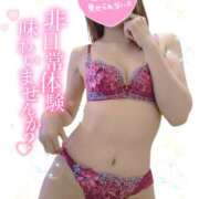 ヒメ日記 2026/06/02 17:06 投稿 笹崎まりあ ミセスハンズ