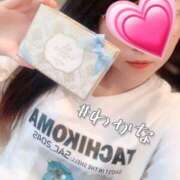 ヒメ日記 2024/12/16 22:02 投稿 わかな 横浜人妻花壇本店