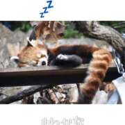 ヒメ日記 2025/01/24 18:04 投稿 わかな 横浜人妻花壇本店